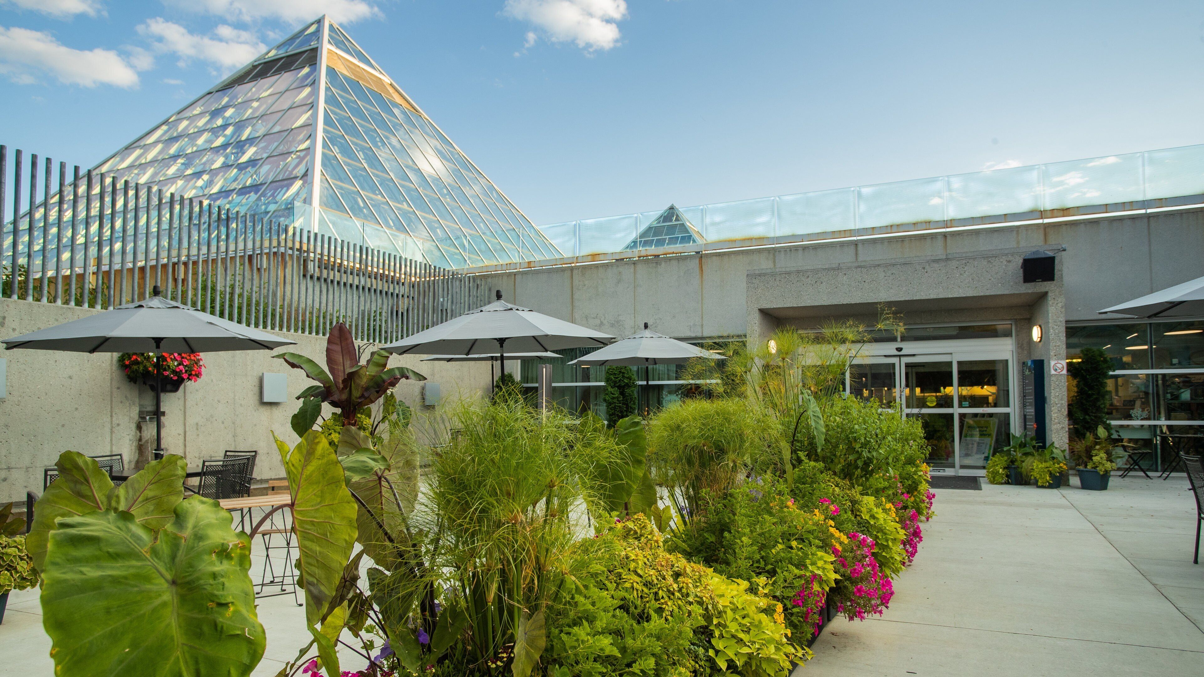 Muttart Conservatory showing flowers
