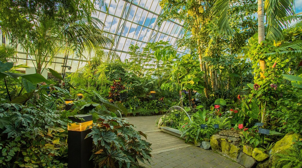 Muttart Conservatory showing interior views and a garden