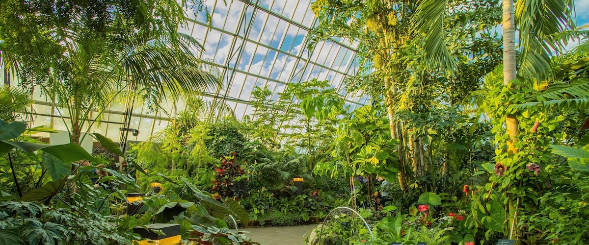 Muttart Conservatory showing interior views and a garden