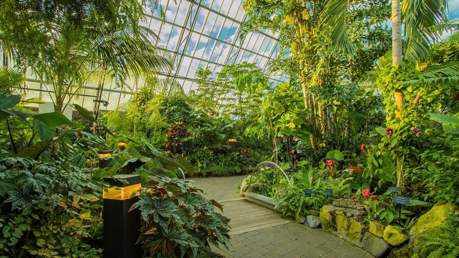 Muttart Conservatory showing interior views and a garden