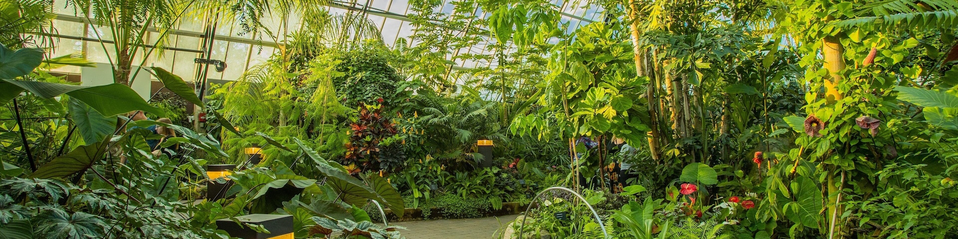 Muttart Conservatory showing interior views and a garden