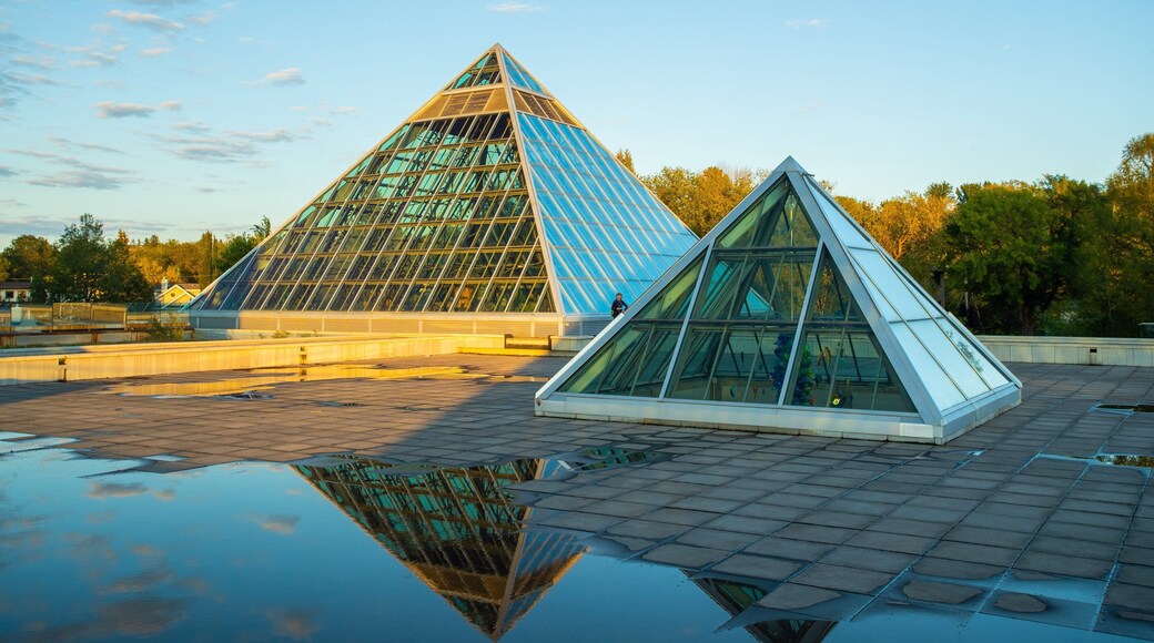 Muttart Conservatory