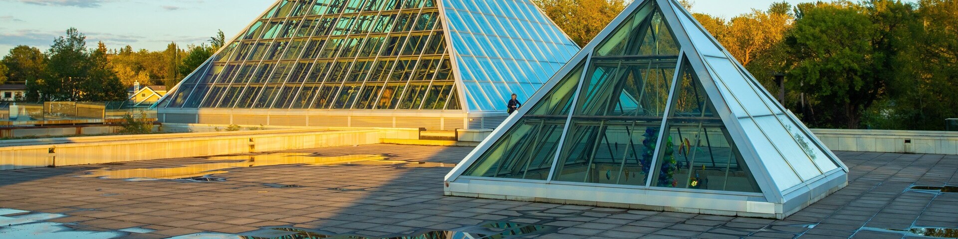 Muttart Conservatory