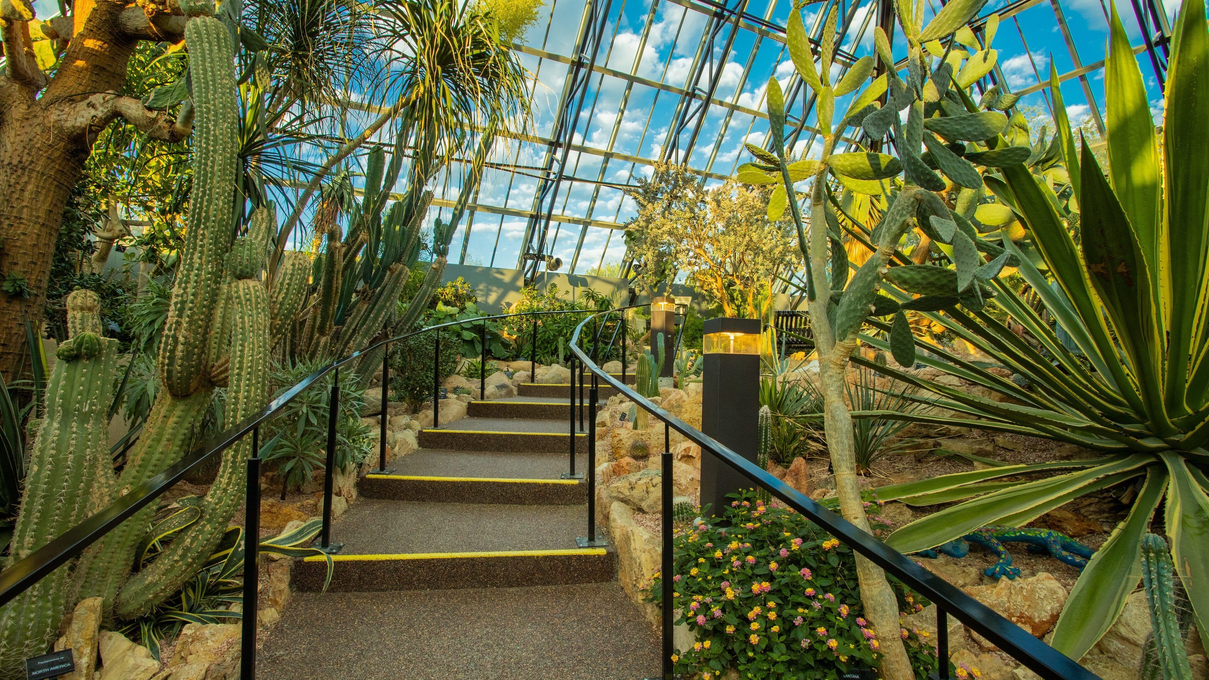 Muttart Conservatory which includes interior views and a park