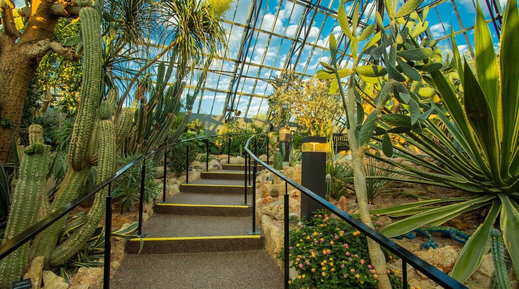 Muttart Conservatory which includes interior views and a park