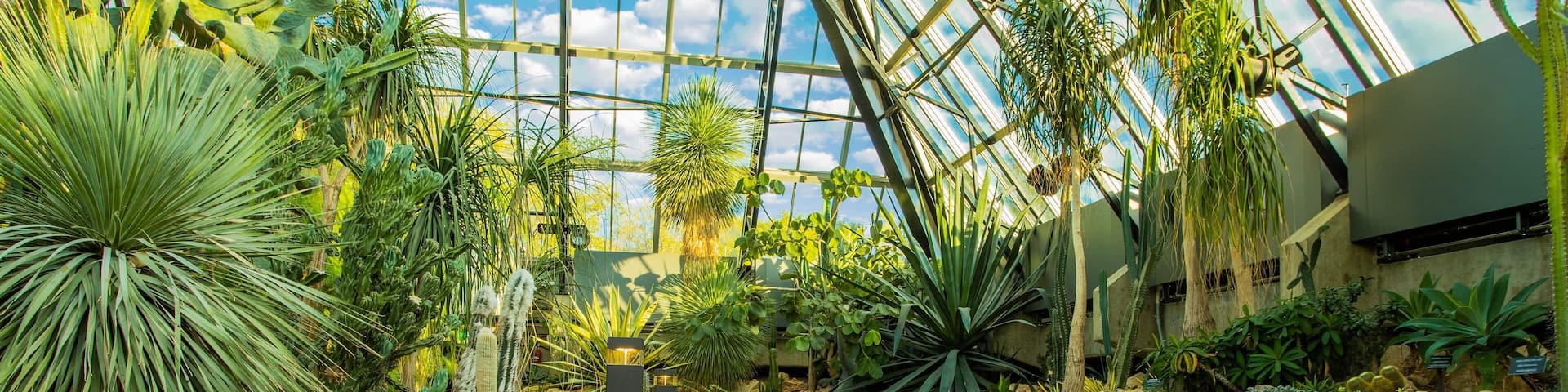 Muttart Conservatory showing interior views and a park