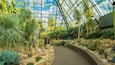 Muttart Conservatory showing interior views and a park