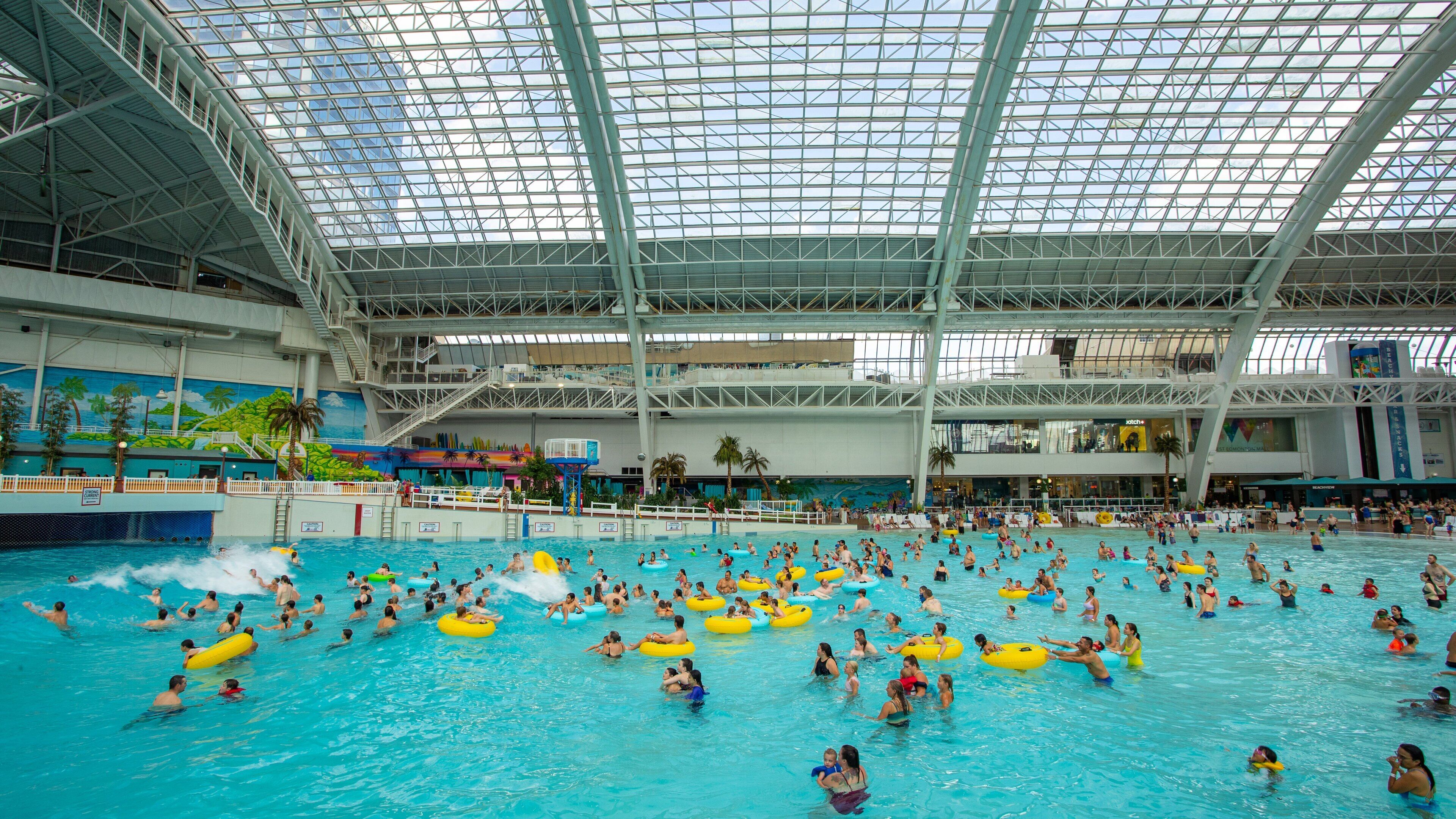 Una piscina interior con techo de vidrio, rodeada de palmeras y un mural de paisaje tropical.