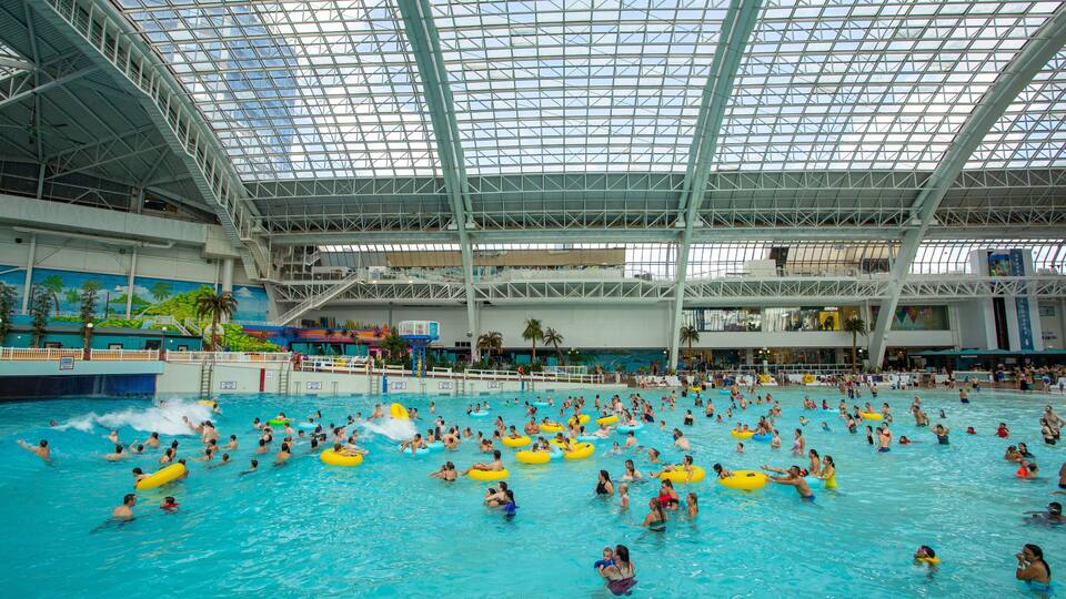 Una piscina interior con techo de vidrio, rodeada de palmeras y un mural de paisaje tropical.