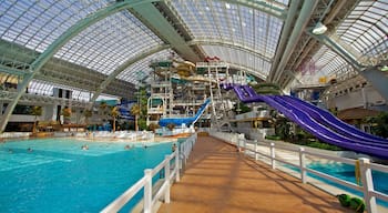 West Edmonton Mall which includes a waterpark and interior views