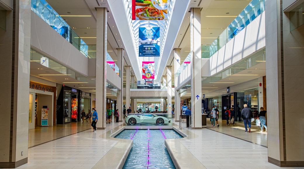 West Edmonton Mall which includes interior views, shopping and a fountain