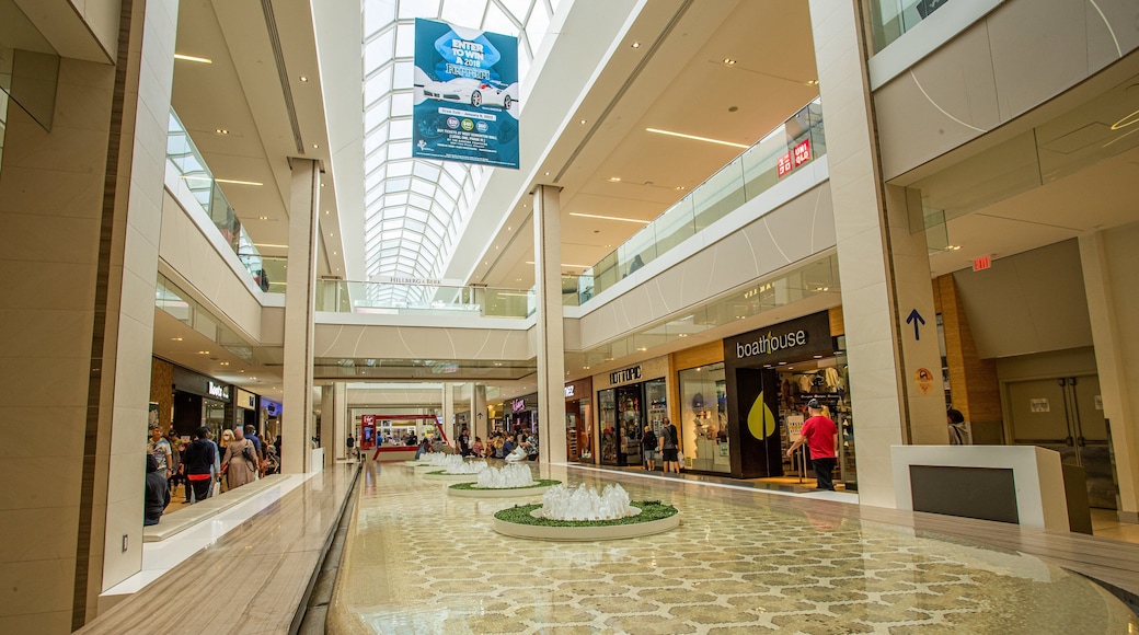 West Edmonton Mall showing a fountain, shopping and interior views