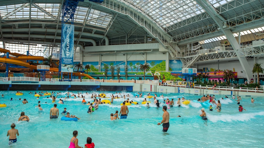 West Edmonton Mall which includes swimming, interior views and a pool