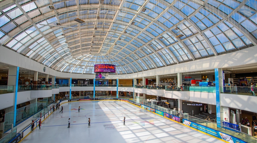 West Edmonton Mall which includes ice skating and interior views