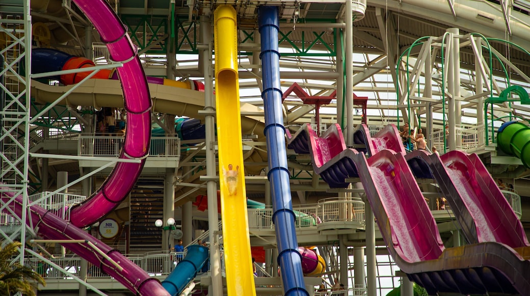 West Edmonton Mall showing a waterpark