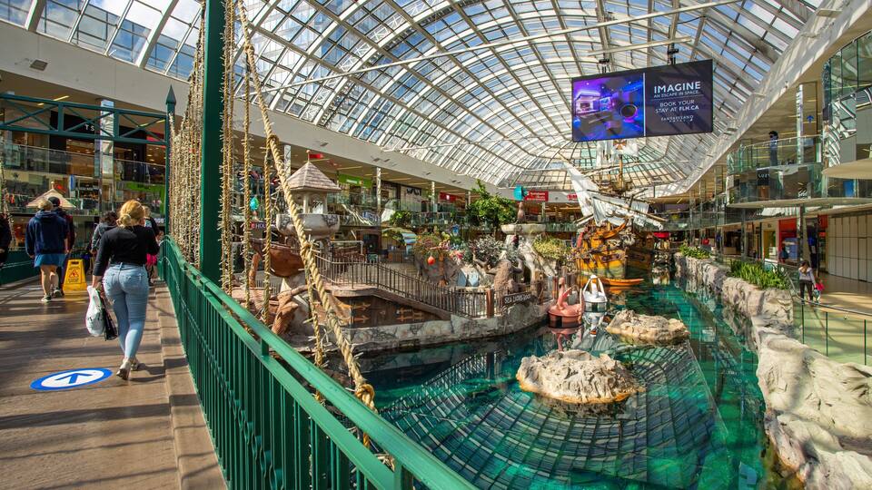 Acuario interior con techo de cristal, un pecio y una cascada.