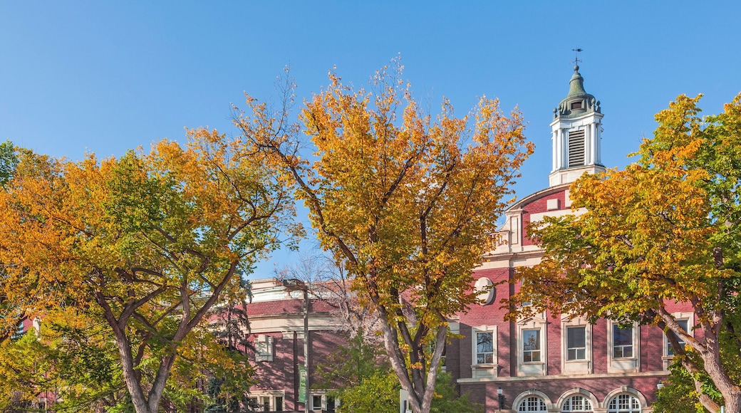 Universitetet i Alberta