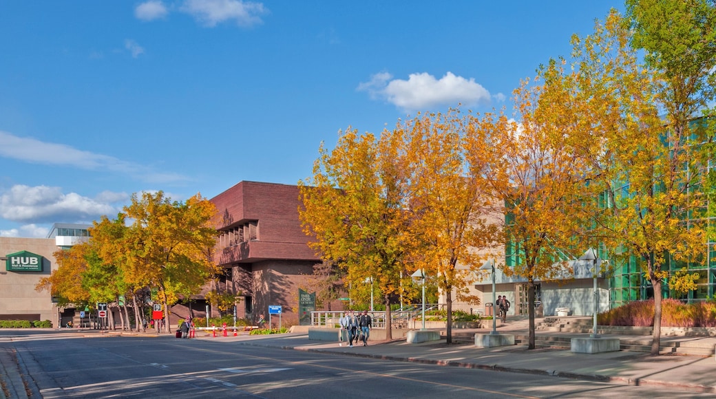 Universitetet i Alberta