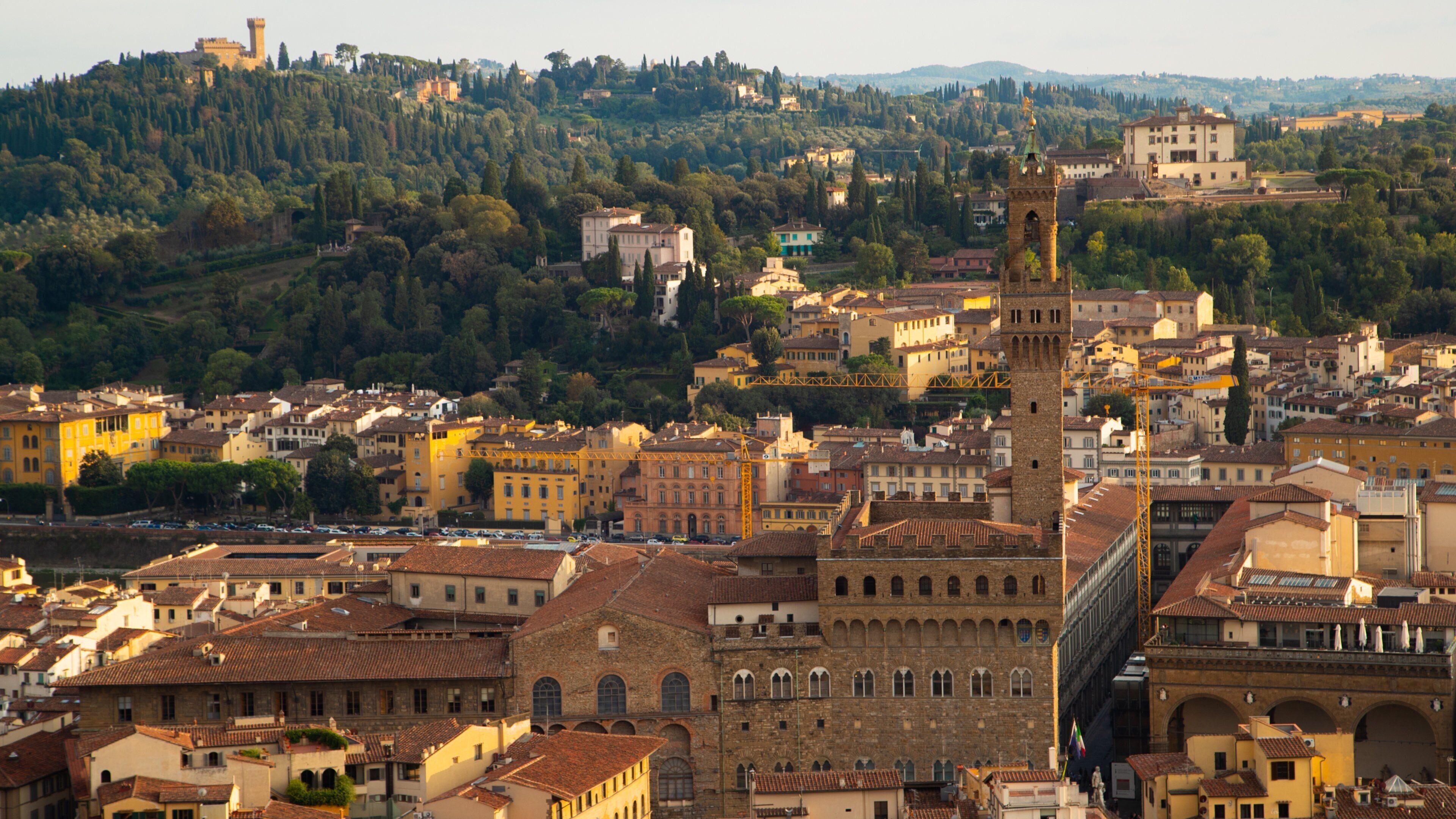 Palazzo Vecchio which includes landscape views and a city