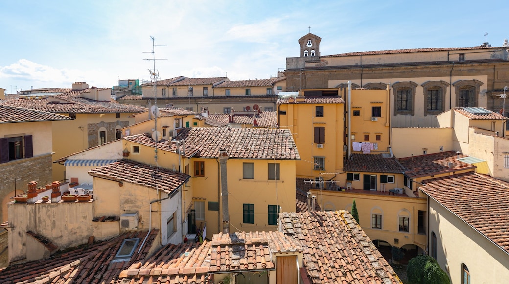 Bargello which includes a city