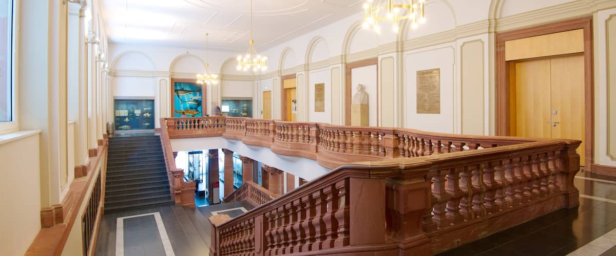 พิพิธภัณฑ์ Senckenberg ซึ่งรวมถึง การตกแต่งภายใน