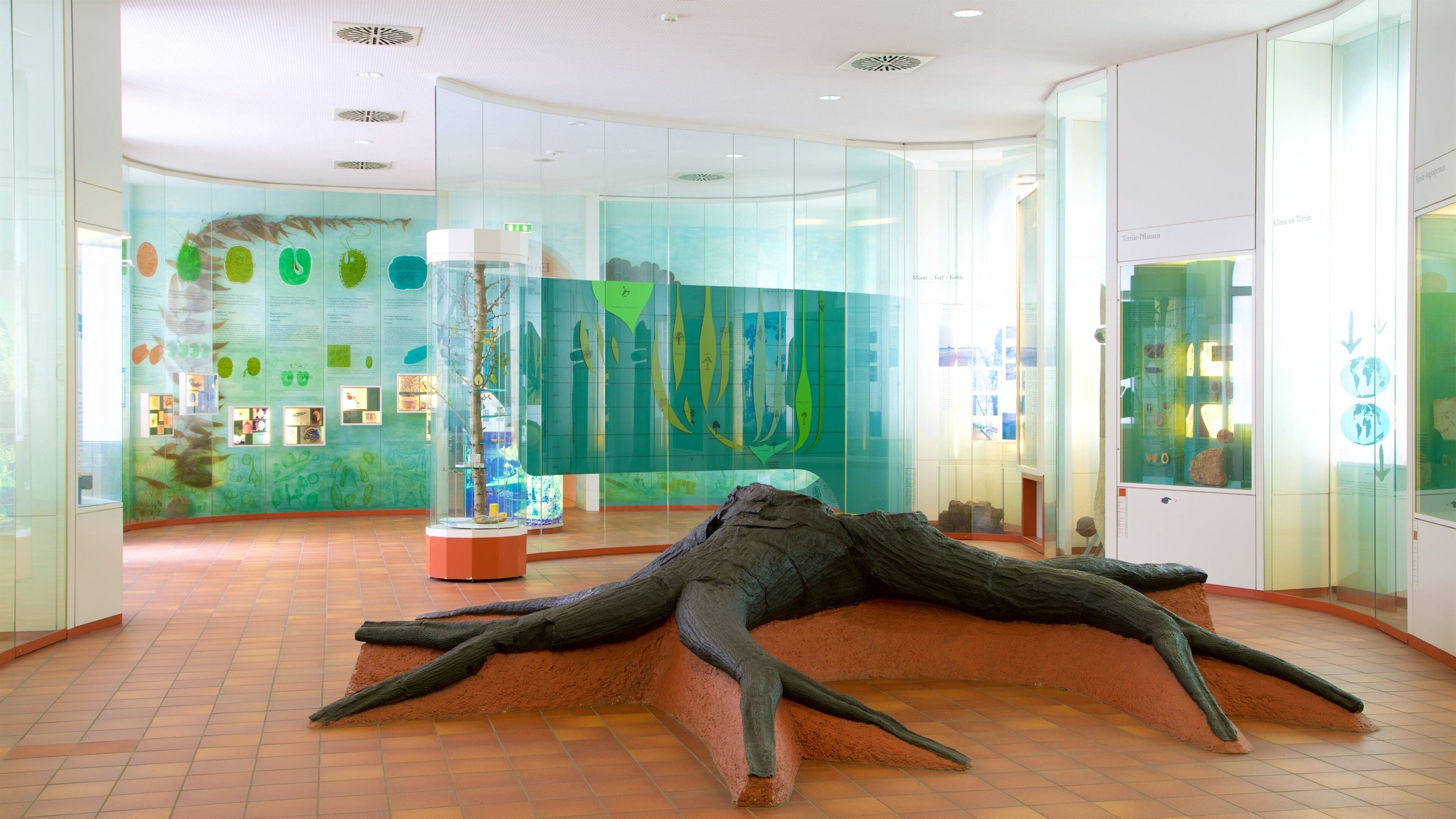 Senckenberg Museum som inkluderar interiörer