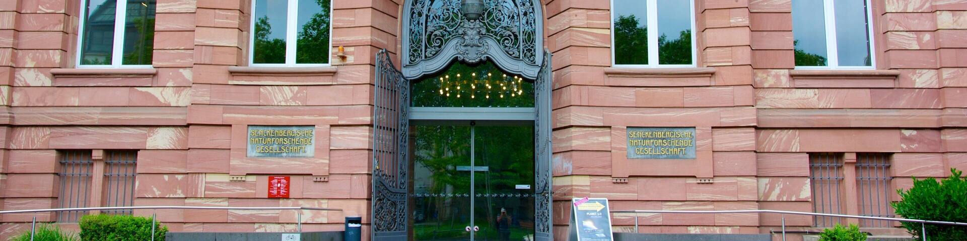 Senckenberg Museum featuring heritage architecture, a city and street scenes