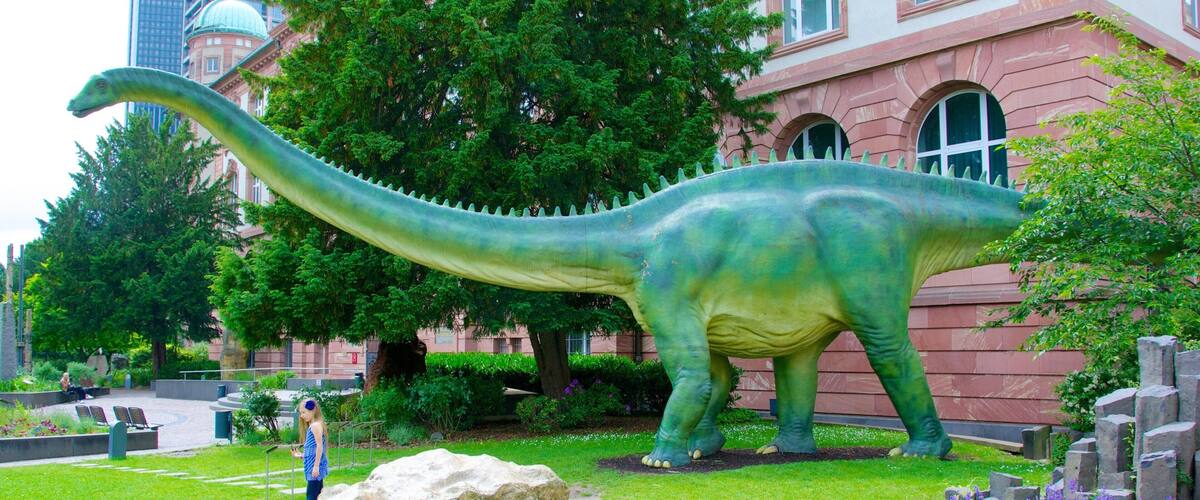 Muséum Senckenberg montrant ville et fleurs aussi bien que enfant