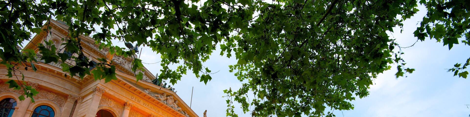 Alte Oper showing a square or plaza, theater scenes and heritage architecture