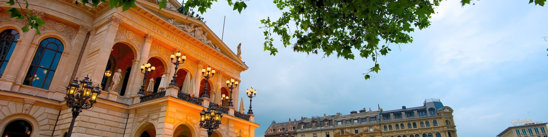Alte Oper showing a square or plaza, theater scenes and heritage architecture