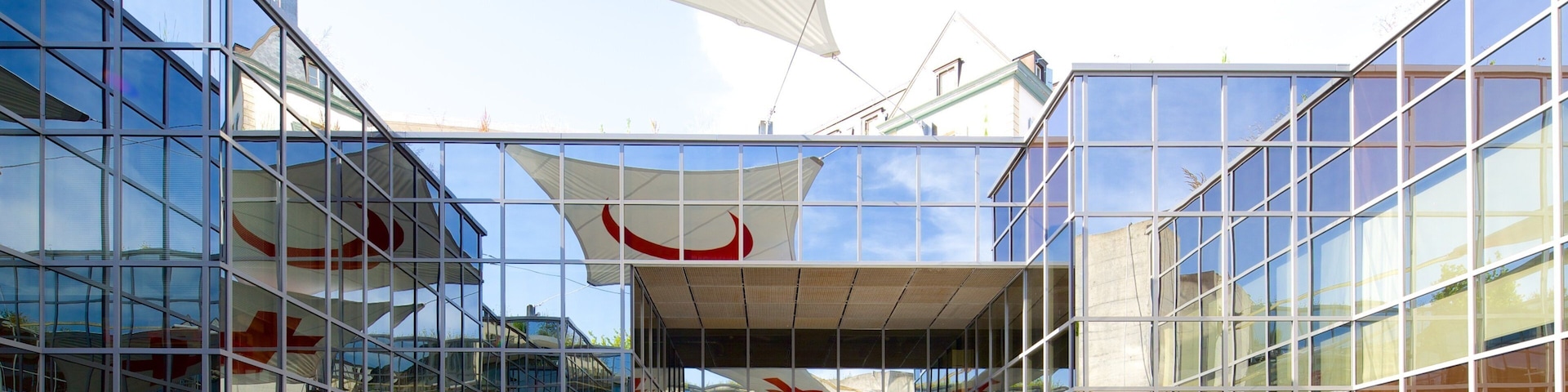 International Museum of the Red Cross and Red Crescent showing modern architecture