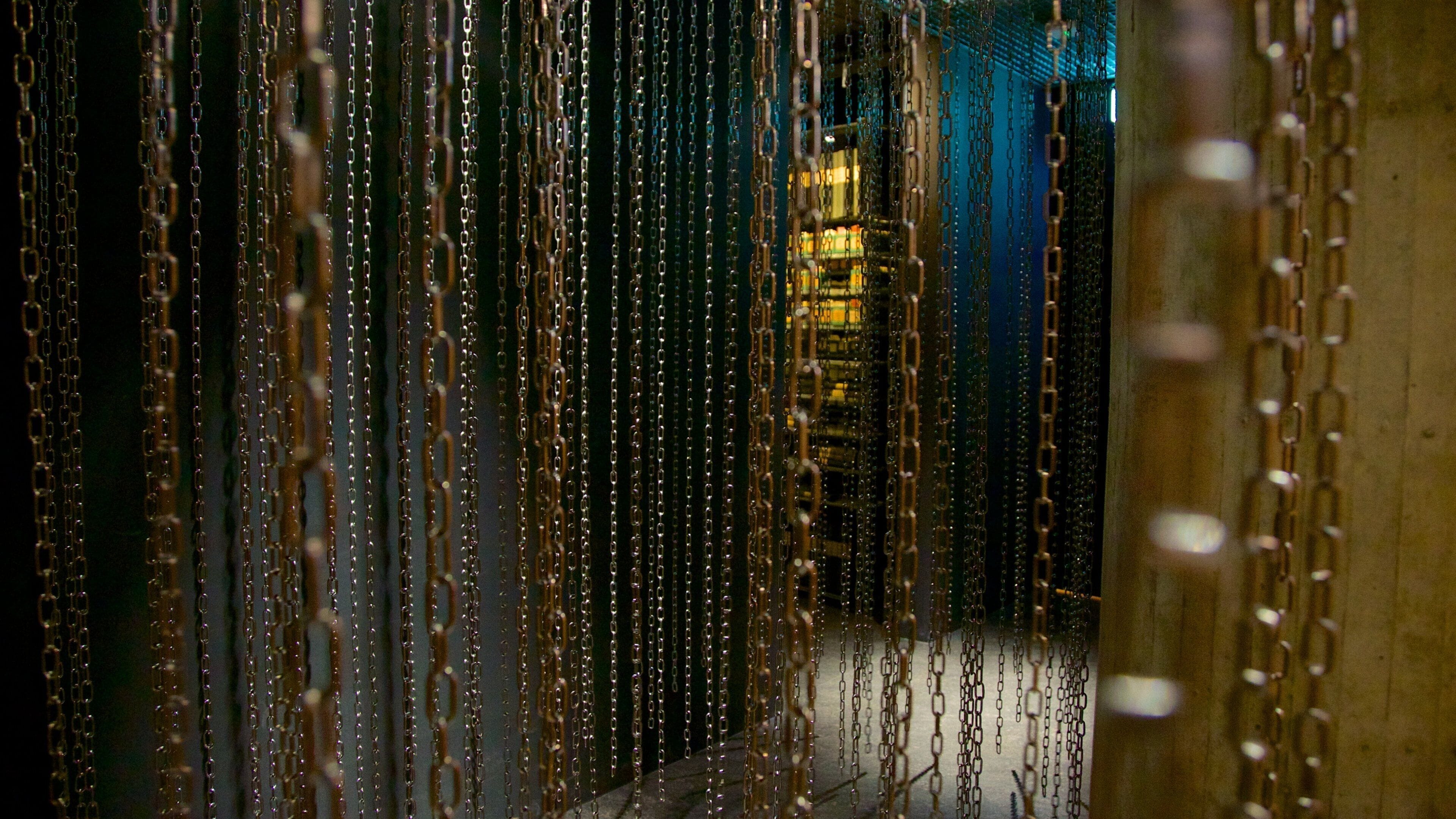 국제 적십자/적신월 박물관 을 특징 실내 전경