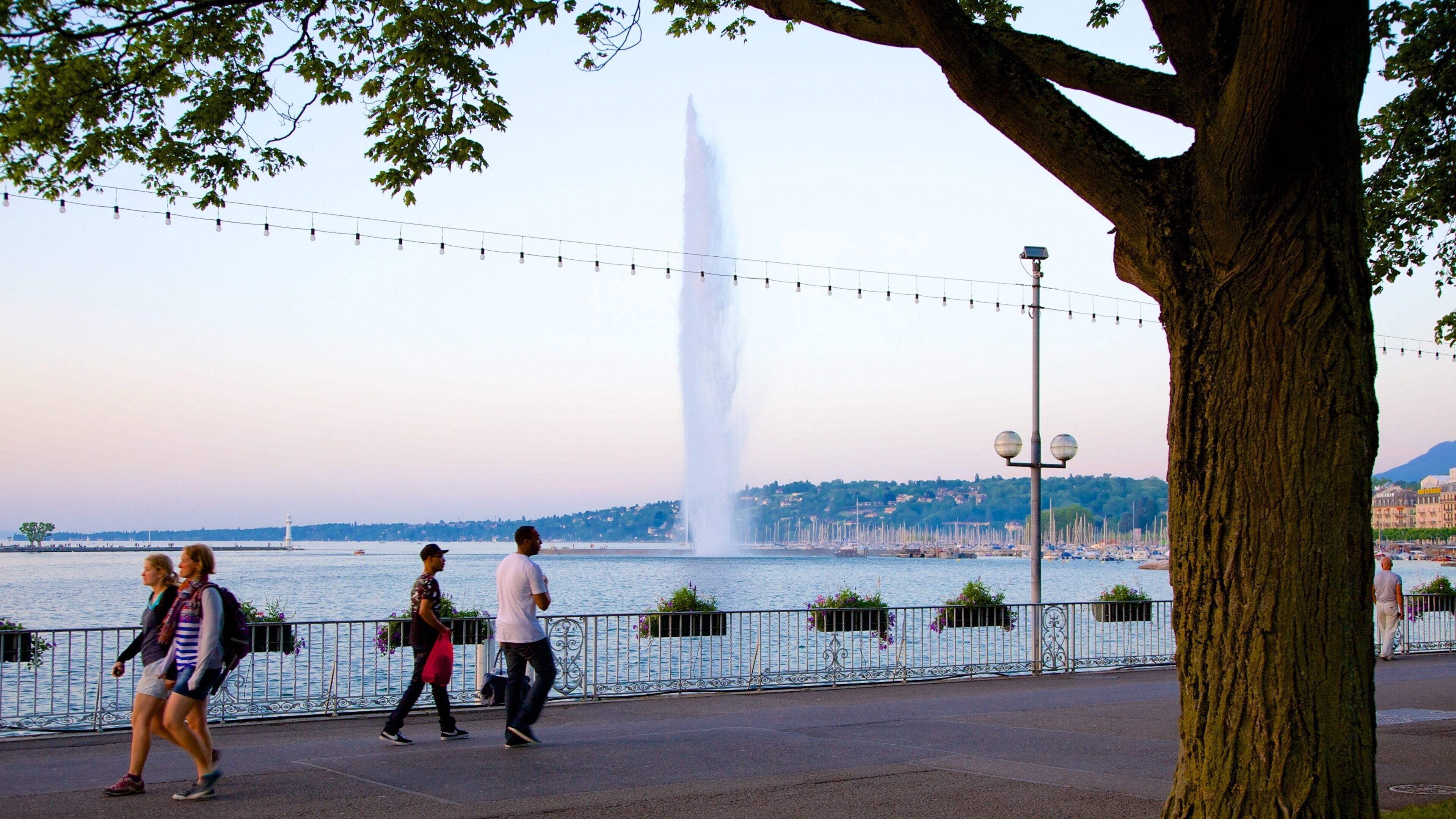 Fuente Jet d\'Eau ofreciendo una fuente y imágenes de calles y también un pequeño grupo de personas