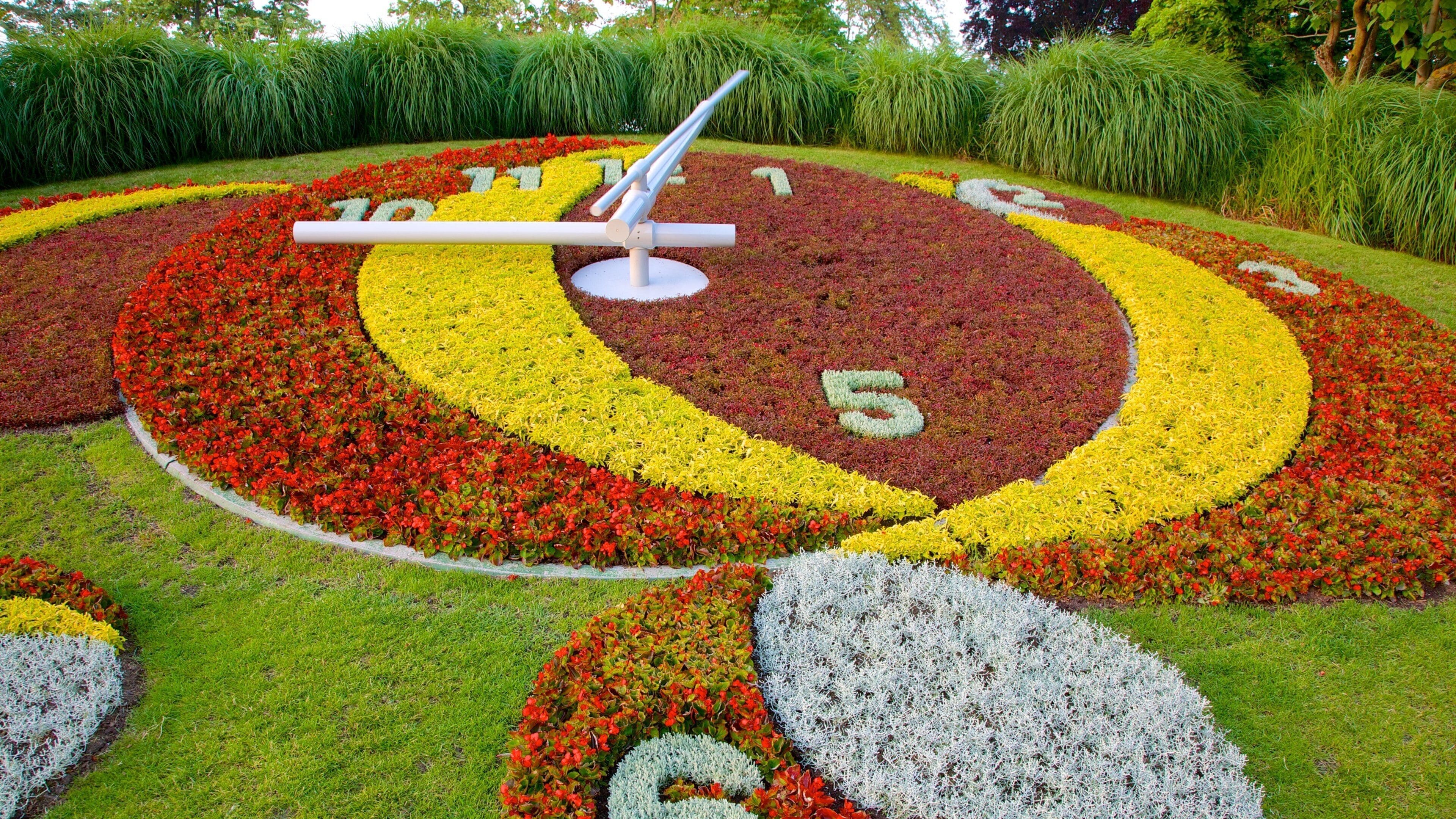 Horloge fleurie montrant art en plein air, jardin et fleurs