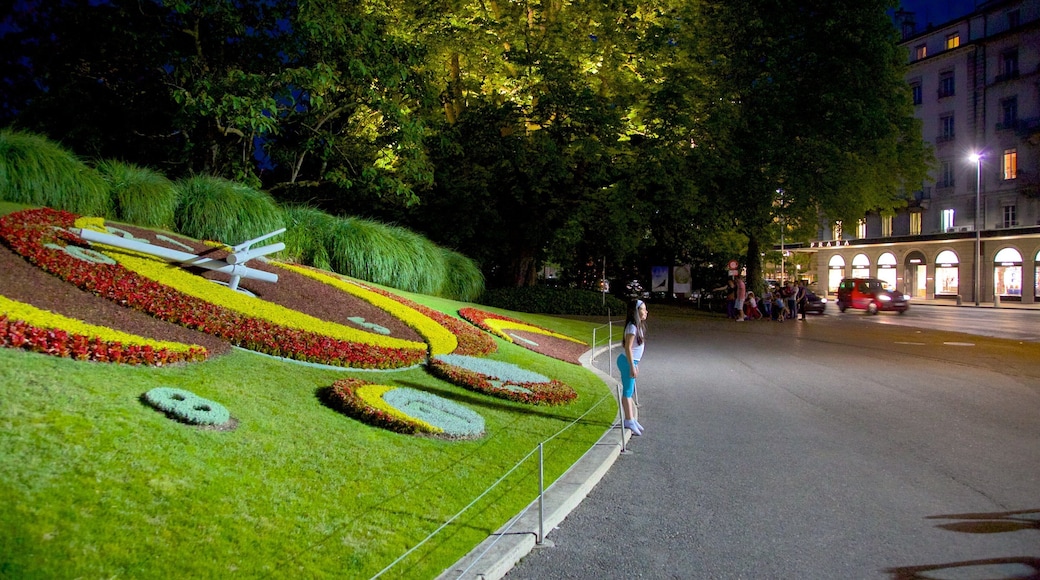 Flower Clock which includes flowers, night scenes and a park