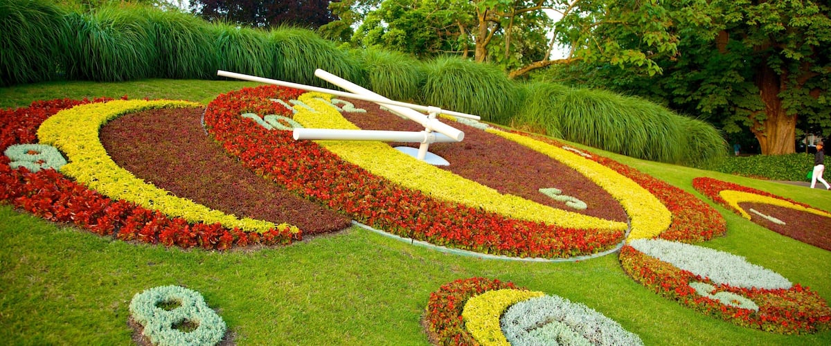 Flower Clock featuring flowers, outdoor art and a park