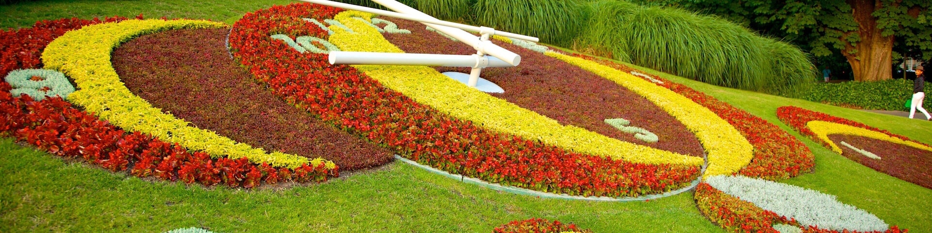 Flower Clock featuring flowers, outdoor art and a park