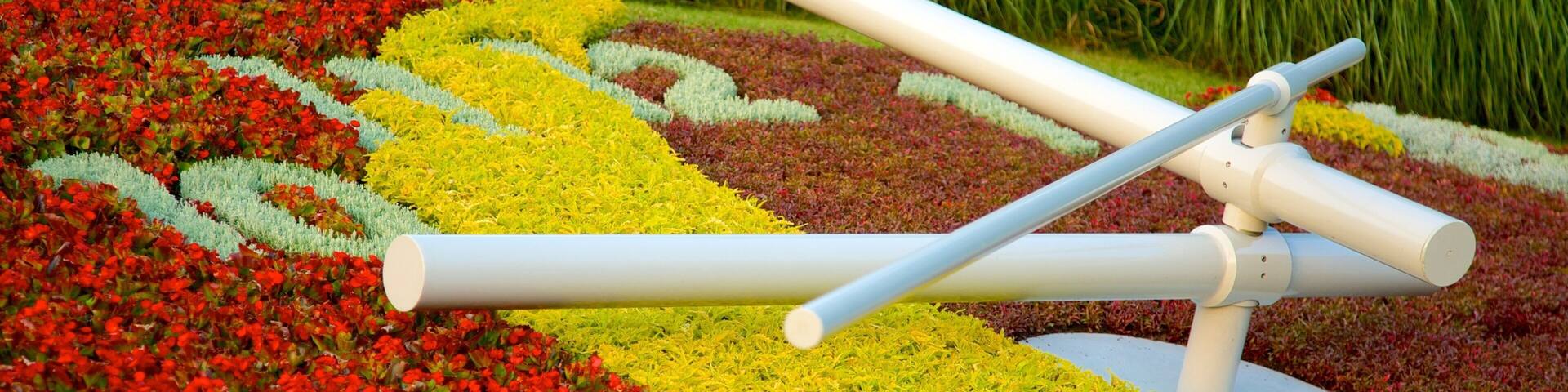 Flower Clock which includes flowers and outdoor art