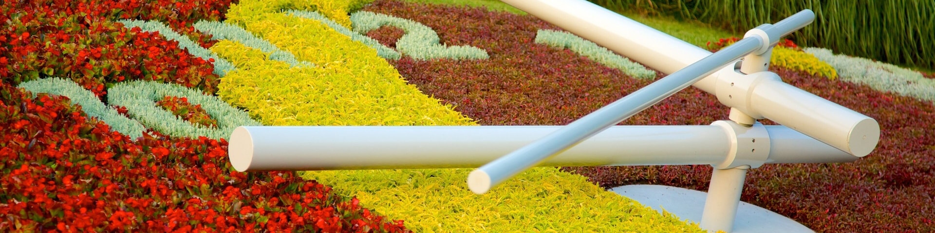 Relógio de Flores caracterizando flores e arte ao ar livre