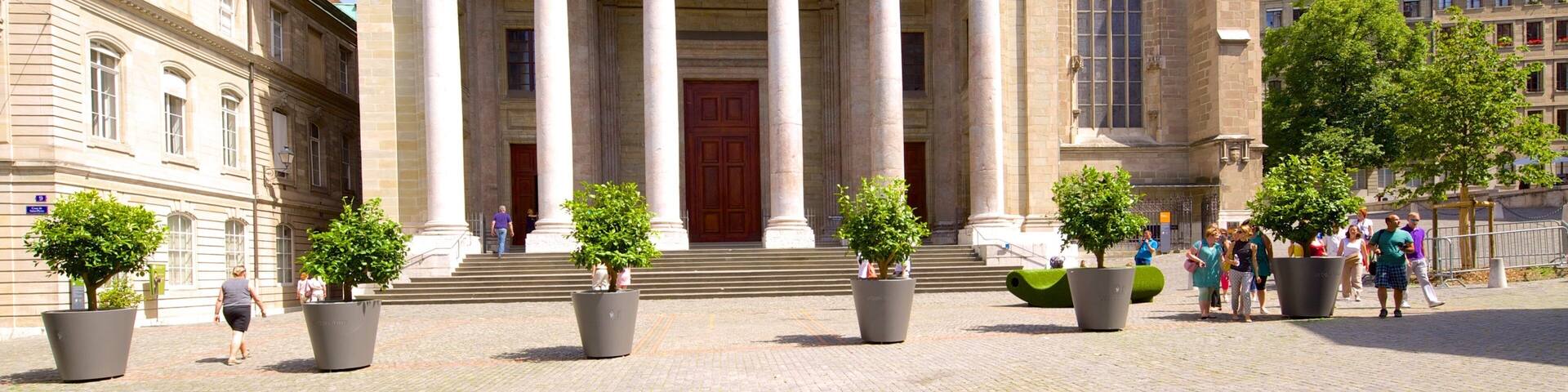 Cathédrale Saint-Pierre mettant en vedette patrimoine architectural et scÚnes de rue