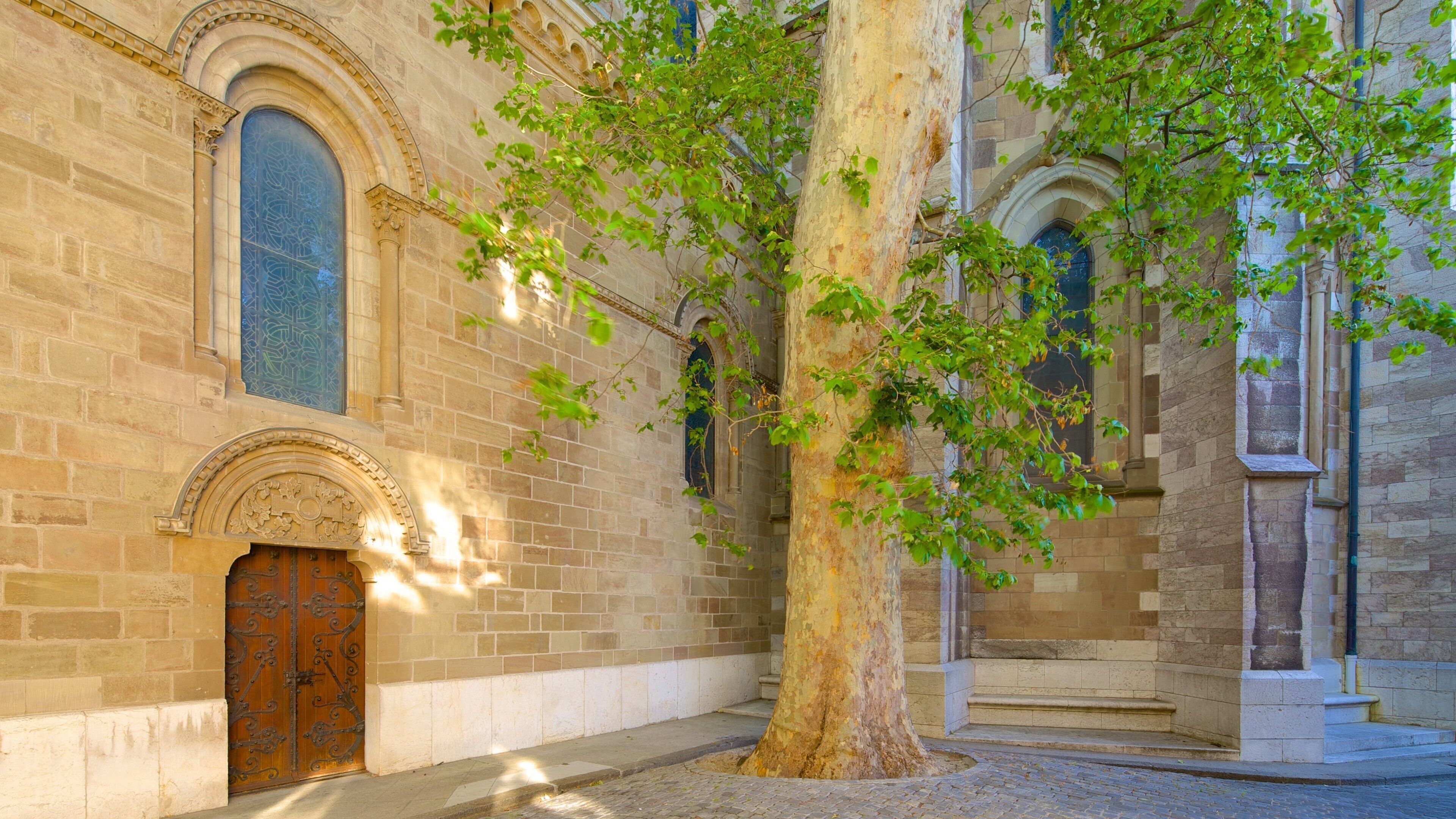 Saint-Pierre Cathedral featuring street scenes