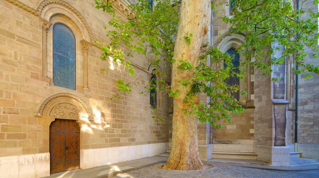Saint-Pierre Cathedral showing street scenes