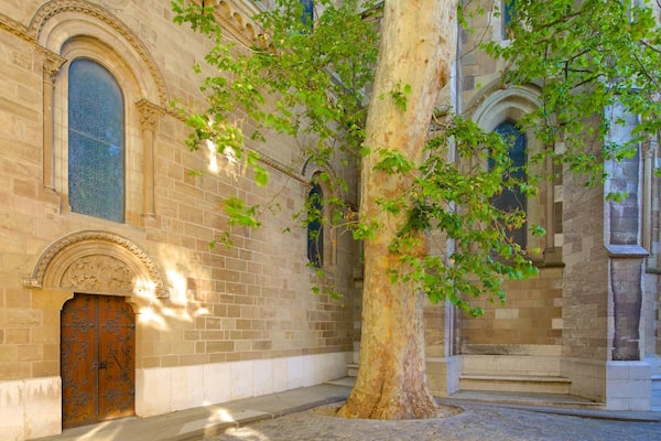 Saint-Pierre Cathedral featuring street scenes