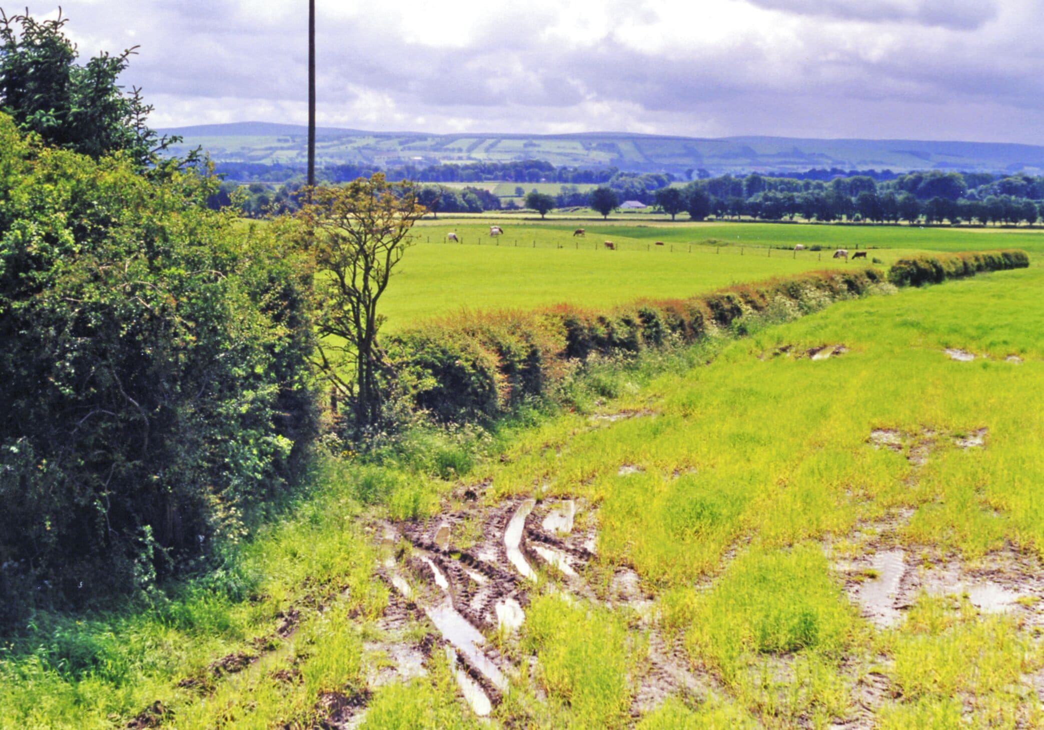 Site of Glassford station. View southward, towards Strathaven North: ex-Caledonian Railway branch from Blantyre, thence Glasgow via Newton. The station and branch were closed to passengers 30/9/45, to goods 21/9/53 - so it is not surprising there is nothing visible remaining. In the distance are the hills in the Muirkirk area, with Cairn Table (1,944 ft.).