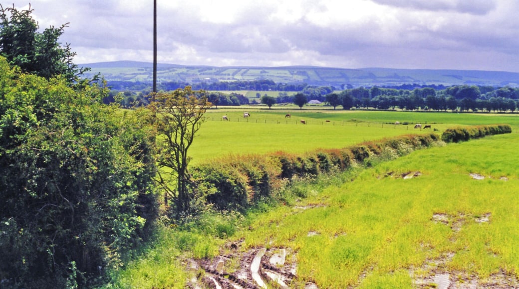 Site of Glassford station. View southward, towards Strathaven North: ex-Caledonian Railway branch from Blantyre, thence Glasgow via Newton. The station and branch were closed to passengers 30/9/45, to goods 21/9/53 - so it is not surprising there is nothing visible remaining. In the distance are the hills in the Muirkirk area, with Cairn Table (1,944 ft.).