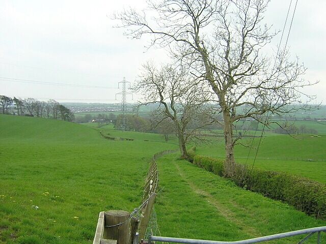 Little Used Track Near Glassford Graveyard. A little used track leading from Glassford Graveyard down towards Avon Water.