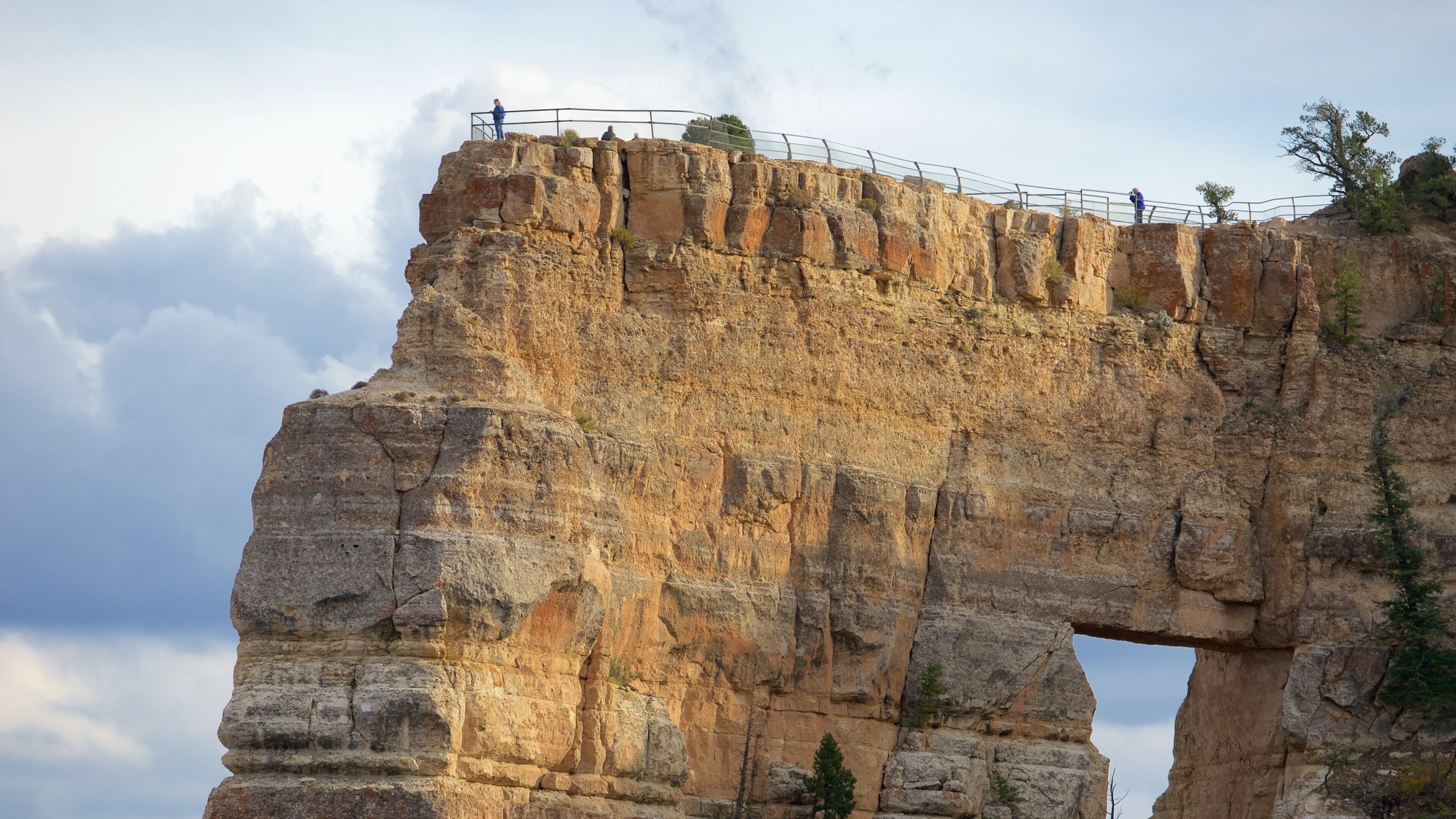 Cape Royal showing views, desert views and tranquil scenes