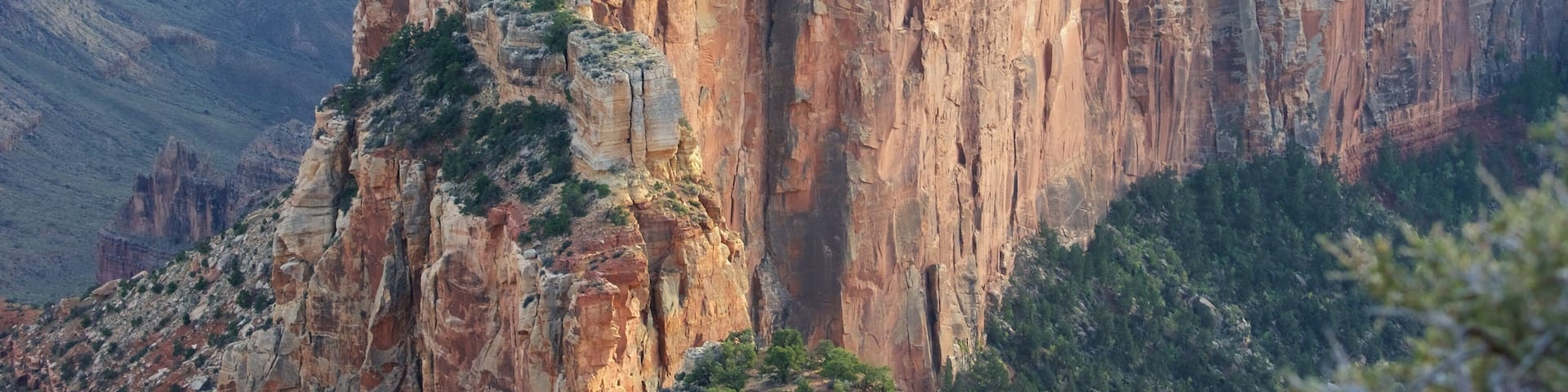 Cape Royal showing a gorge or canyon and desert views