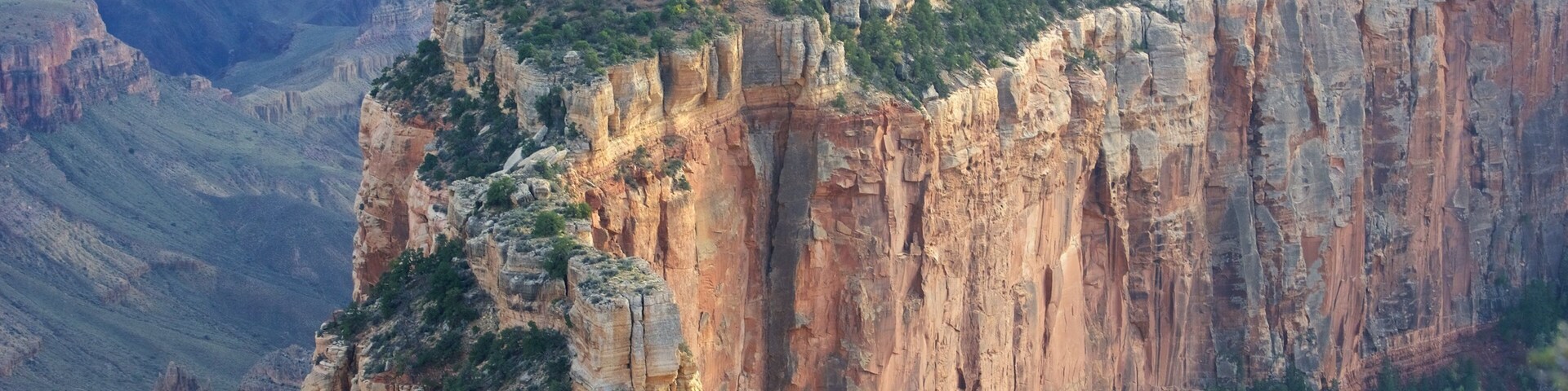 Cape Royal showing a gorge or canyon and desert views