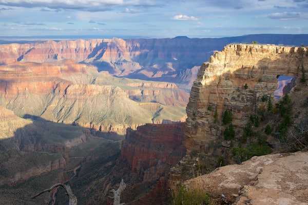 Cape Royal welches beinhaltet ruhige Szenerie, Schlucht oder Canyon und Wüstenblick